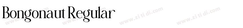 Bongonaut Regular字体转换 Bongonaut Regular字体转换